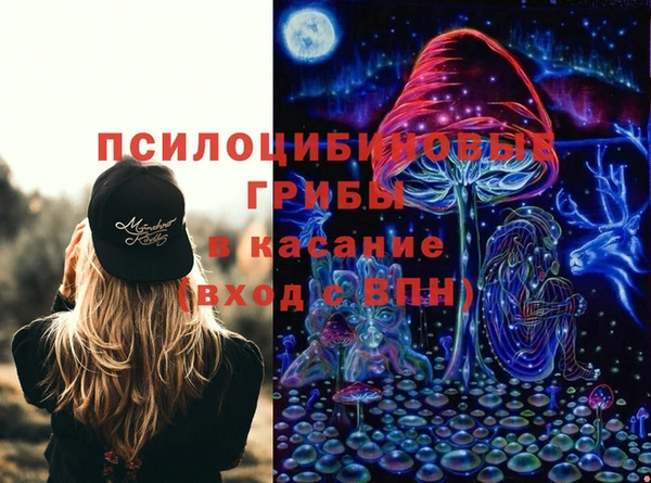 скорость Гусев