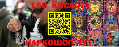 крисы Добрянка