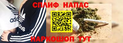 стафф Долгопрудный